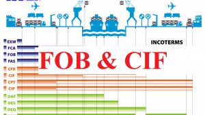 Mua CIF - Bán FOB