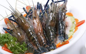Vận chuyển thuỷ hải sản đông lạnh từ Cần Thơ đi Hà Nội bằng đường hàng không