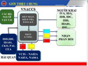 Hướng dẫn Khai báo Hải quan điện tử qua phần mềm Ecus
