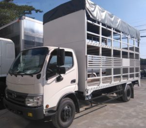 Hồ Chí Minh đi các tỉnh Tây Nguyên