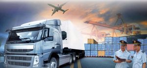 quy trình làm kiểm dịch thực vật