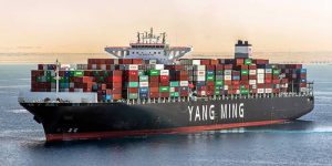 Yang Ming