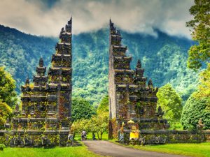 Nhận mua hộ hàng hóa từ Indonesia về Việt Nam