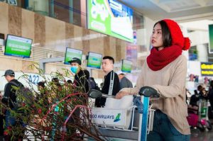 Vận chuyển cành đào, cành mai bắc nam