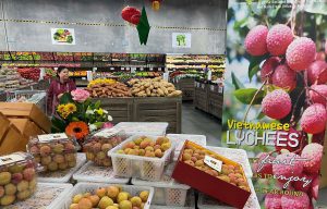 xuất khẩu nông sản Việt Nam
