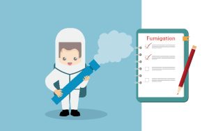 Giấy chứng nhận hun trùng là gì? Có bắt buộc khi xuất khẩu?