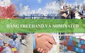 Phân biệt hàng Freehand và Nominated