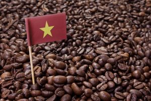 Xuất khẩu hạt cà phê đi Mỹ