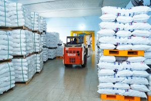 Xuất khẩu muối bằng đường biển đi Mỹ