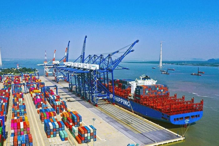 Cảng Đoạn Xá (DXP): Lãi kỷ lục, lập công ty vận tải biển tìm hướng đi mới