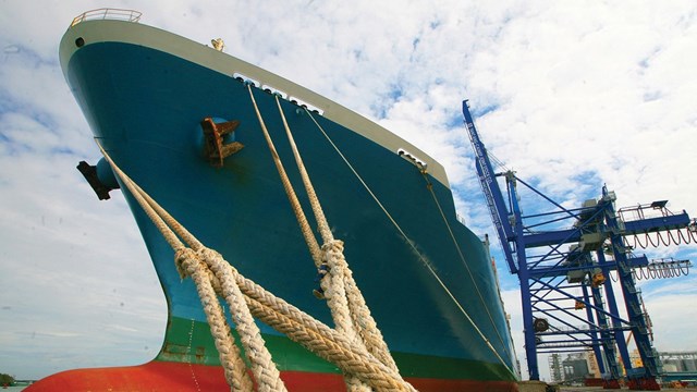 Global Pacific (PCT) vay nghìn tỷ mở rộng đội tàu