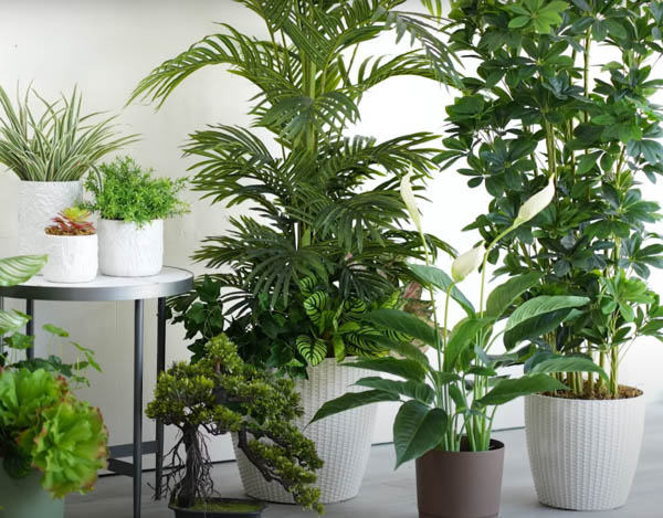 Shipping Artificial Plants by Sea from Vietnam to Singapore