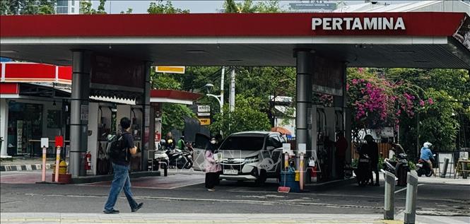 Indonesia dự kiến nhiên liệu sinh học B50 sẽ tiết kiệm hơn 9 tỷ USD ngoại hối