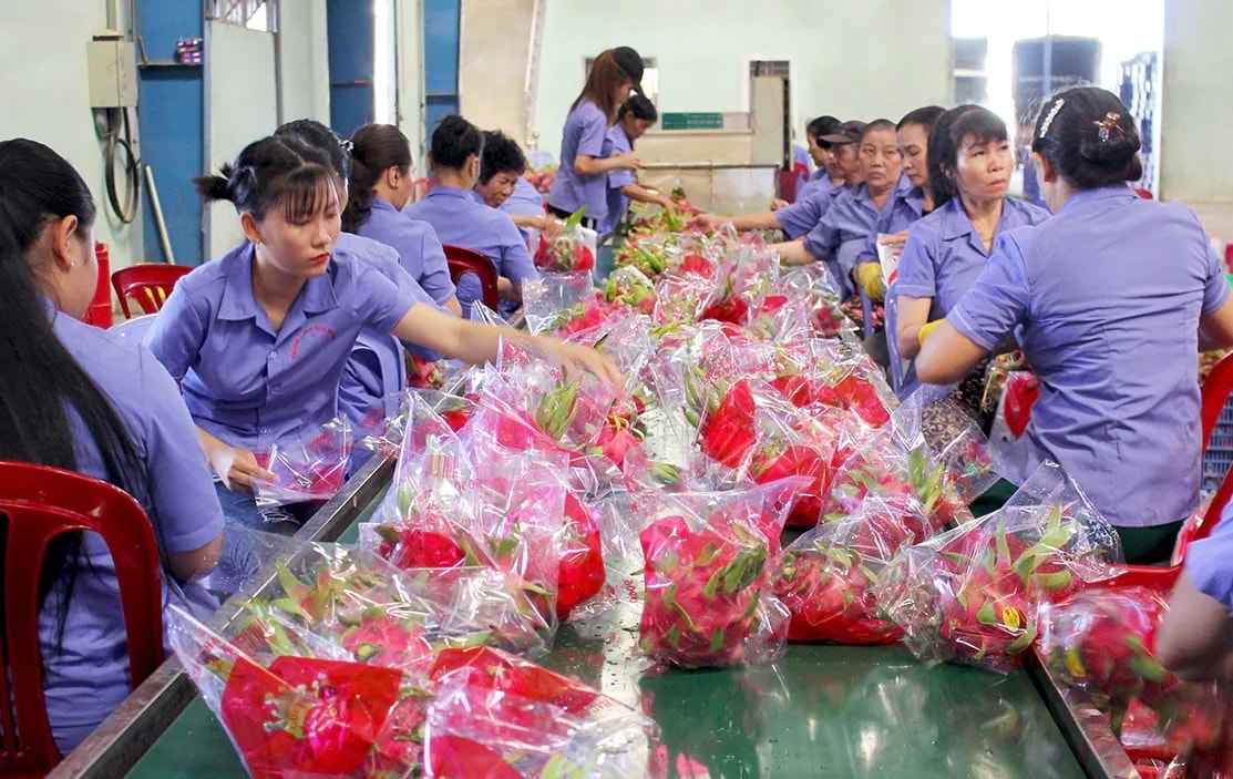 Việt Nam – tâm điểm trong làn sóng tái cấu trúc chuỗi cung ứng châu Á