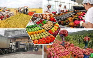 TOP 10 MẶT HÀNG XUẤT KHẨU TỪ VIỆT NAM SANG PHILIPPINES BẰNG ĐƯỜNG BIỂN