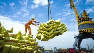 VẬN CHUYỂN GẠO SANG CHÂU ÂU ĐÚNG TIÊU CHUẨN QUỐC TẾ